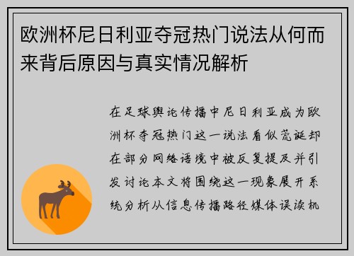 欧洲杯尼日利亚夺冠热门说法从何而来背后原因与真实情况解析